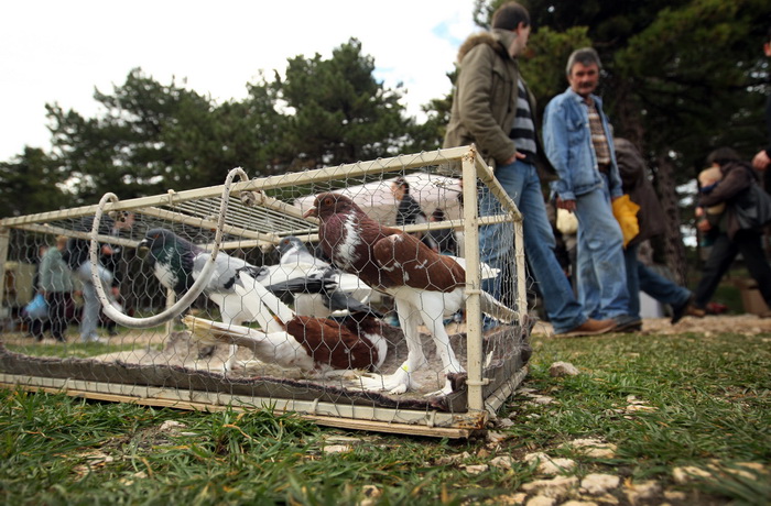 Benkovac, 100313.
Sajam u Benkovcu odrzava se svakog 10. dana u mjesecu. Stoljetna tradicija ucinila je od Benkovackog sajma neizostavni gospodarski i turisticki sadrzaj grada koji svaki put iznova iznenadjuje brojem posjetitelja koji preraste brojku od 1 Benkovac, 100313.
Sajam u Benkovcu odrzava se svakog 10. dana u mjesecu. Stoljetna tradicija ucinila je od Benkovackog sajma neizostavni gospodarski i turisticki sadrzaj grada koji svaki put iznova iznenadjuje brojem posjetitelja koji preraste brojku od 1