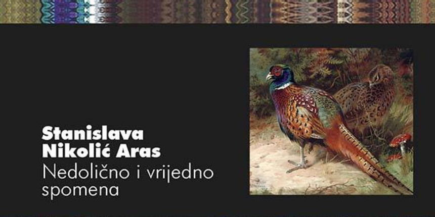 Stanislava Nikolić Aras: Nedolično i vrijedno spomena