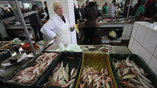 Đir po pešakariji 6. travnja 2012. (foto:Saša Čuka) Đir po pešakariji 6. travnja 2012. (foto:Saša Čuka)