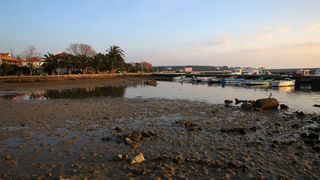 22.12.2013., Zadar – Neobicno toplo vrijeme za prve dane zime dodatni je poticaj za otisnuti se na more i uloviti koju lignju za Badnju vecer. Iako zbog oseke gotovo da nisu mogli isploviti, dva Privlacanca na nedjeljno poslijepodne udaljila su se od ob