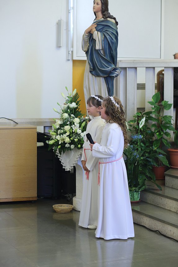 Bibinje: Sakrament Svete potvrde u župnoj crkvi Bibinje: Sakrament Svete potvrde u župnoj crkvi