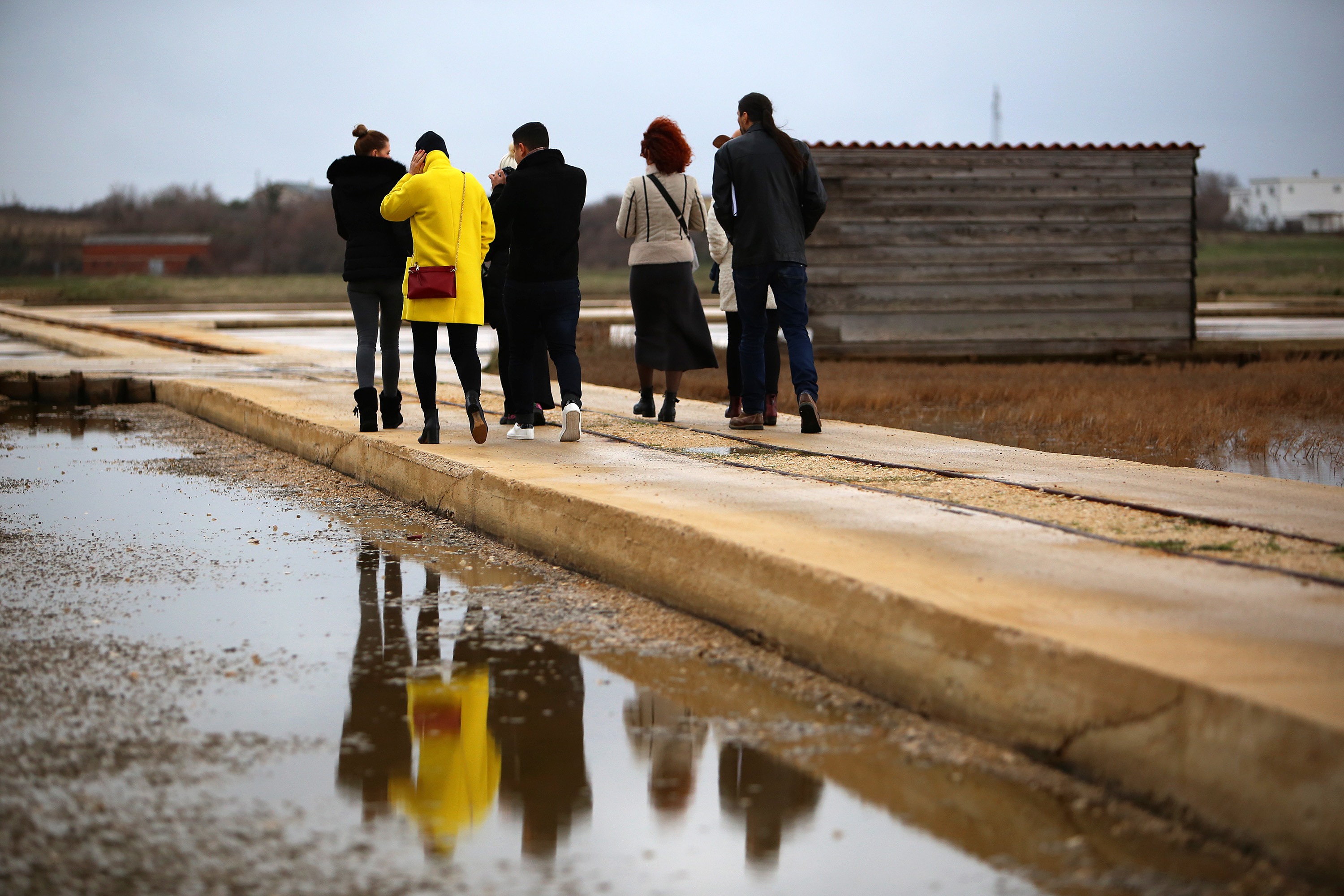 Posjet Solani Nin i Kraljevskim vinogradima u Petrčanima