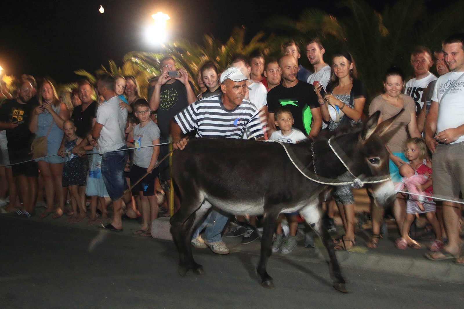 Trka Tovarov – 48. Memorijal Kenje Vijole Sukošan  Photo: Leo Banić