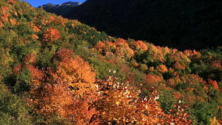 Paklenica: Boje jeseni, Foto: Mladen Radolovic Mrlja
