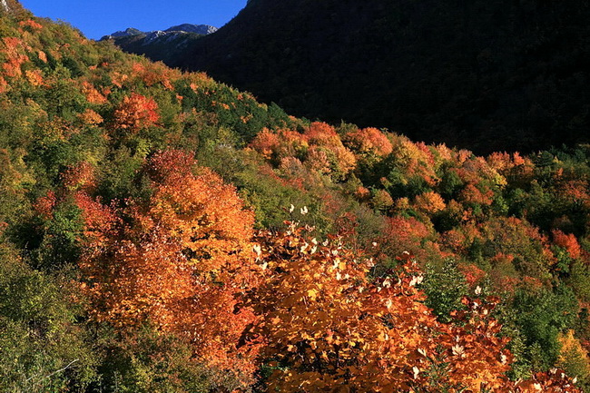 Paklenica: Boje jeseni, Foto: Mladen Radolovic Mrlja