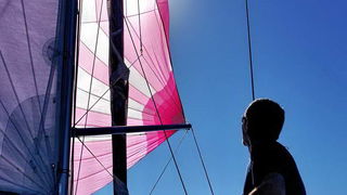 Regata Zadarska Koka 2015. Regata Zadarska Koka 2015.