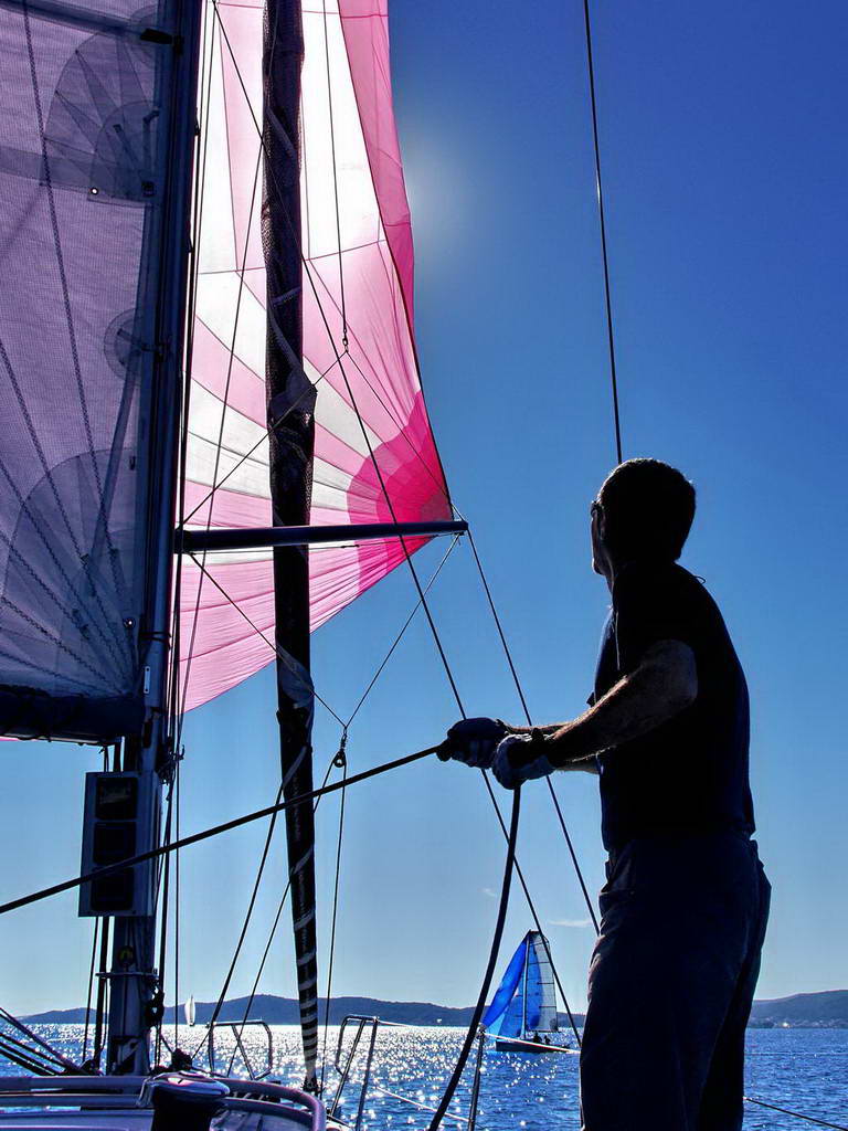 Regata Zadarska Koka 2015. Regata Zadarska Koka 2015.