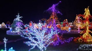 Dva milijuna lampica za božićnu čaroliju na imanju Salaj