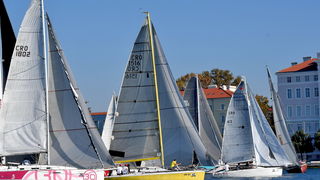 Sva lica “Zadarske koke” Sva lica “Zadarske koke”