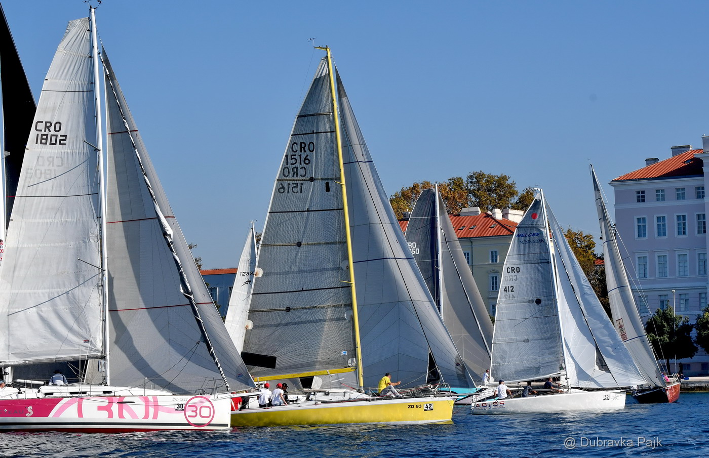 Sva lica “Zadarske koke” Sva lica “Zadarske koke”