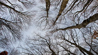 Đir do vrha Zečjak na sjevernom Velebitu, Foto: Leo Banić