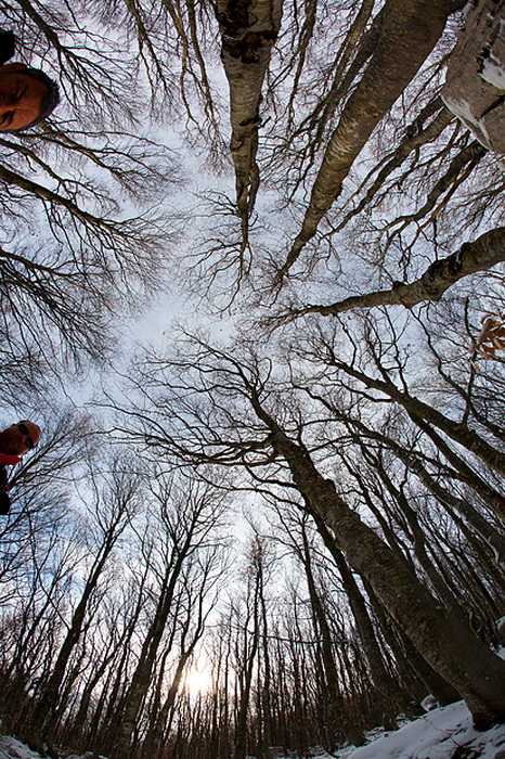 Đir do vrha Zečjak na sjevernom Velebitu, Foto: Leo Banić