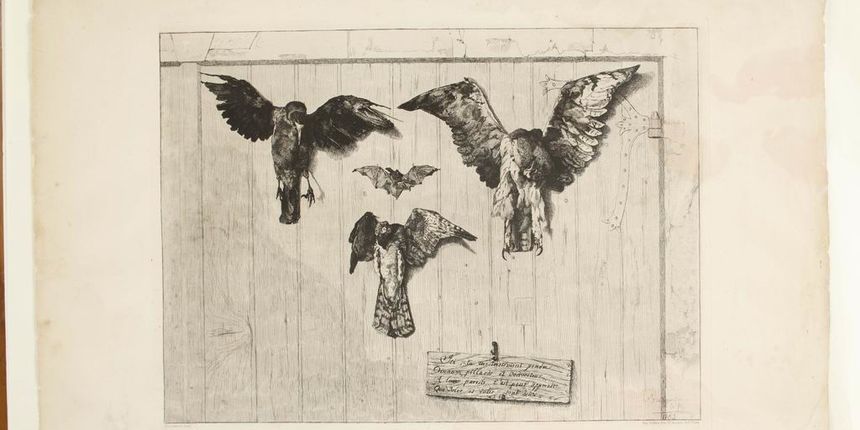 Muzej Mimara predstavlja jedinstvenu zbirku umjetnina kupljenih na eBayu Muzej Mimara predstavlja jedinstvenu zbirku umjetnina kupljenih na eBayu