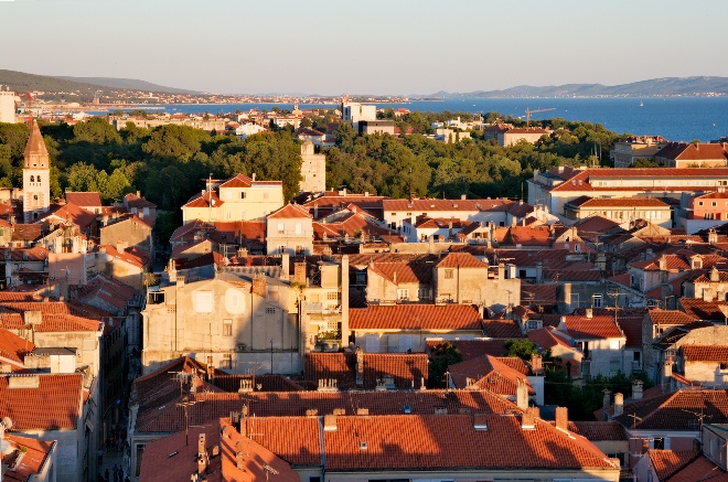 Image 1173739 (auto)