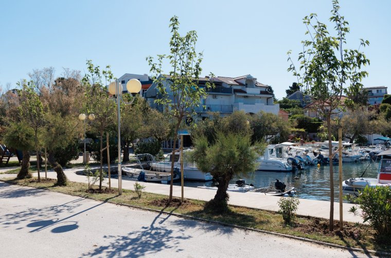 7 Sadnja stabala Petrčane 28.5.2025, Foto Bojan Bogdanić