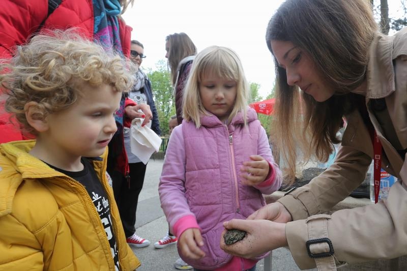U Zooloskom vrtu u Zagrebu obiljezen Zablji dan u sklopu kojeg su se odrzavale razne radionice, a zainteresirani posjetitelji mogli su i dirati zabe. Photo: Tomislav Miletic/PIXSELL
