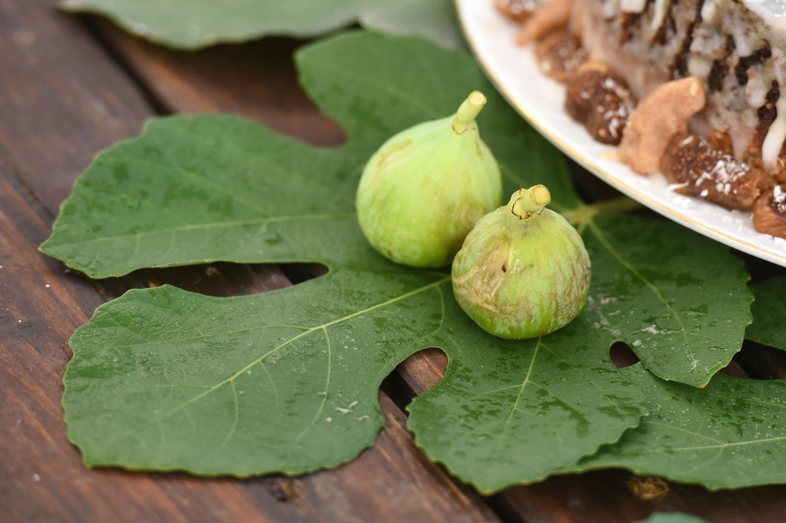 Delicije na sajmu “Gastro smokva” Delicije na sajmu “Gastro smokva”