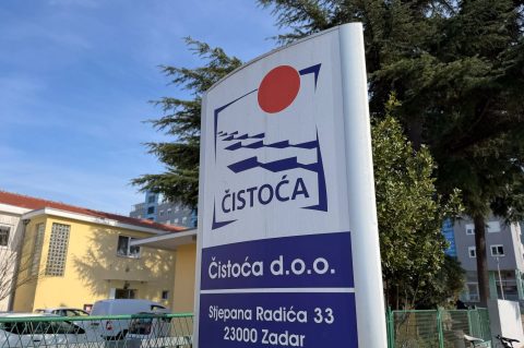 cistoca