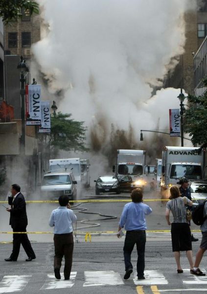 Image 1176075 (auto)