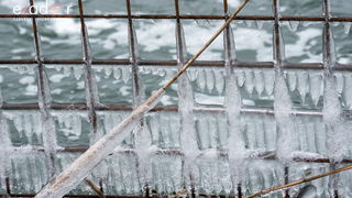 Zimska idila u Parku prirode Vransko jezero Zimska idila u Parku prirode Vransko jezero