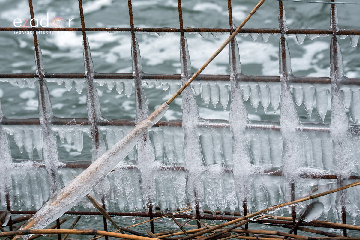 Zimska idila u Parku prirode Vransko jezero Zimska idila u Parku prirode Vransko jezero