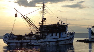 Mišnjak: Nasukana ribarica “Glamoč”