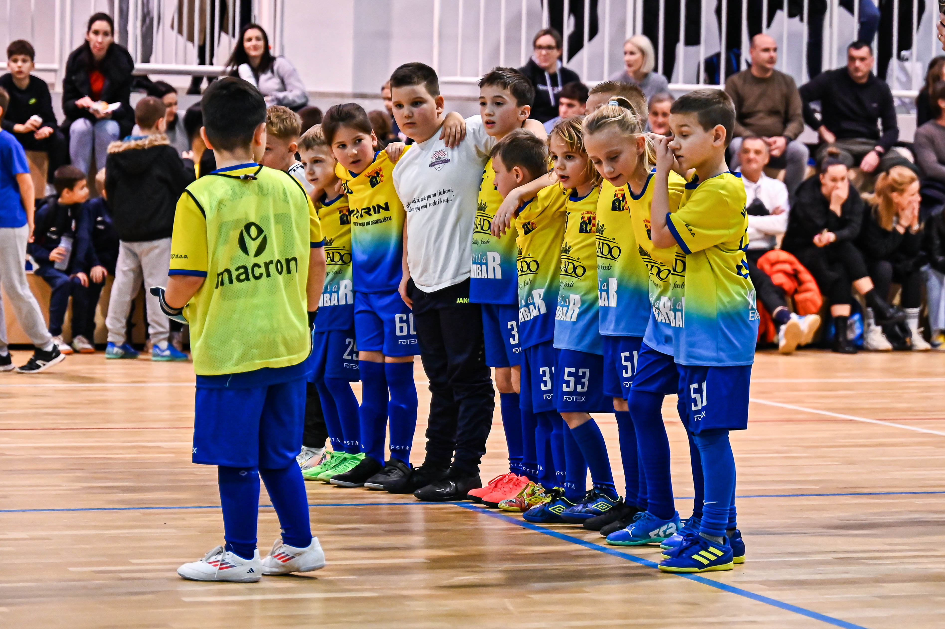 1.Cateleya indoor Cup 1.Cateleya indoor Cup