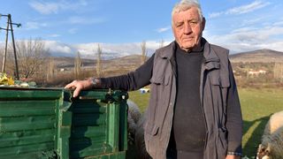 Kaštel Žegarski: Ovca potjerala vuka i ojanjila dva janjčića