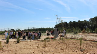 Kišni vrt u Biogradu Kišni vrt u Biogradu