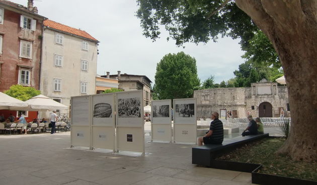 Otvorena izložba “Prijatelji mora”