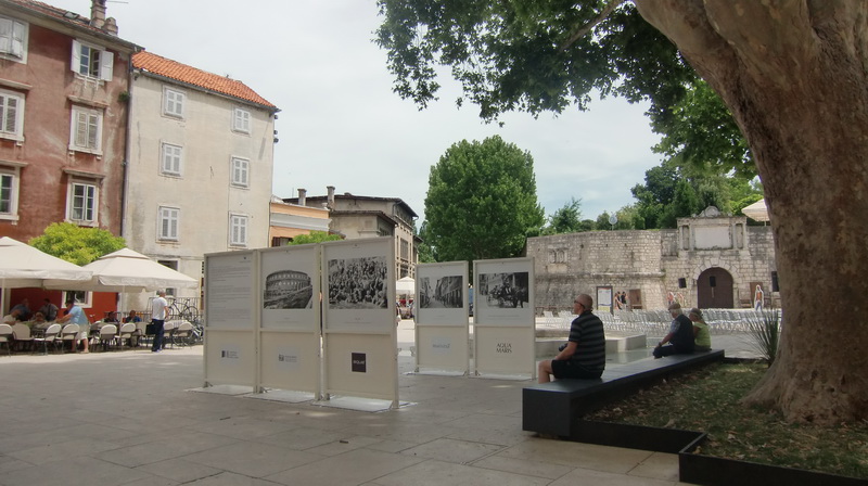 Otvorena izložba “Prijatelji mora”