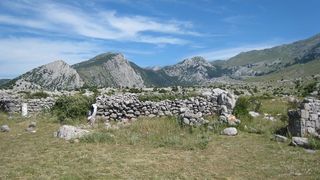 Image 1177345 (auto)