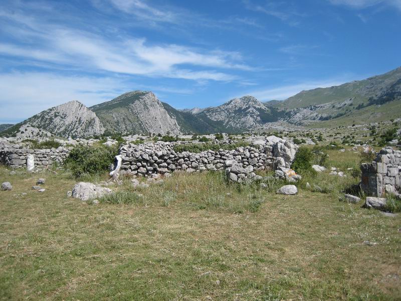 Image 1177345 (auto)