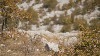 Izlet u Libinje, foto: Darko Belančić