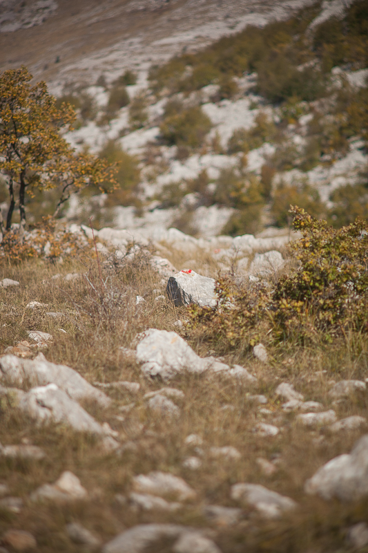 Izlet u Libinje, foto: Darko Belančić