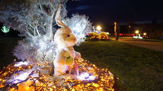 Cazma, 060412.
Obitelj Salaj iz Grabovnice kraj Cazme po prvi je put po uzoru na bozicni ugodjaj priredila i “Uskrsnu pricu”. Za tu su priliku imanje ukrasili s 2700 pisanica, zeceva, pilica i pijetlova koji svijetle po noci i ostavljaju posjetioce bez da