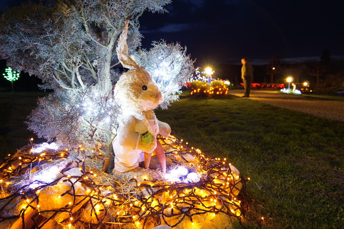 Cazma, 060412.
Obitelj Salaj iz Grabovnice kraj Cazme po prvi je put po uzoru na bozicni ugodjaj priredila i “Uskrsnu pricu”. Za tu su priliku imanje ukrasili s 2700 pisanica, zeceva, pilica i pijetlova koji svijetle po noci i ostavljaju posjetioce bez da