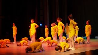 Plesno kazalisna udruga Zalet