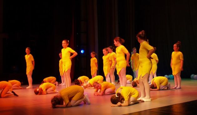 Plesno kazalisna udruga Zalet