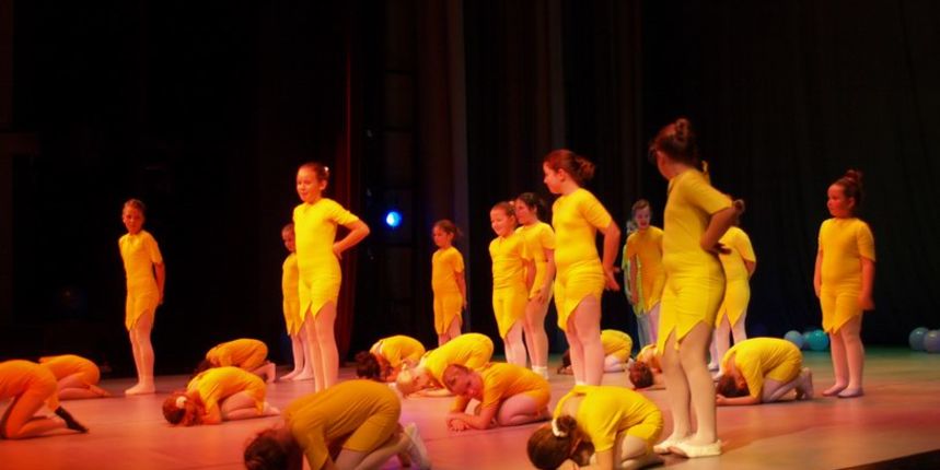 Plesno kazalisna udruga Zalet