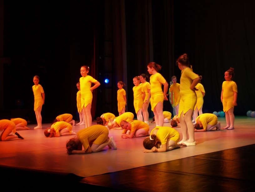 Plesno kazalisna udruga Zalet