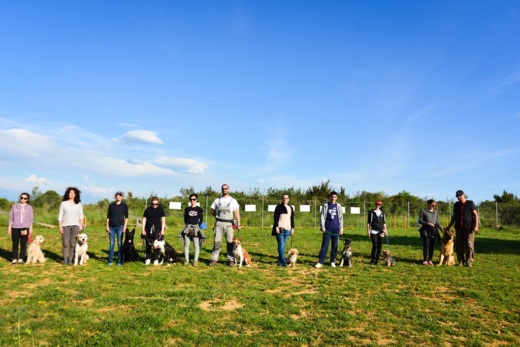 Kinološka udruga Malinois