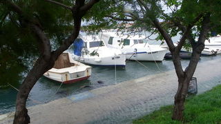 Plima u uvali Bregdetti, foto: T. Ivanov