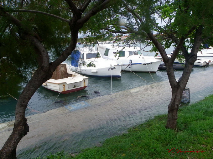 Plima u uvali Bregdetti, foto: T. Ivanov