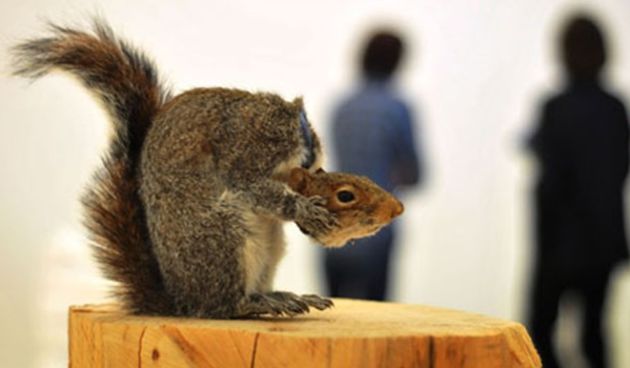 Vjeverica, Londonska slikarica Lynette Yiadom-Boakye, pridružila se francuskoj umjetnici Laure Prouvost, Britancu Davidu Shrigleyju i britansko-njemačkom performeru Tinu Sehgalu na ovogodišnjem popisu finalista