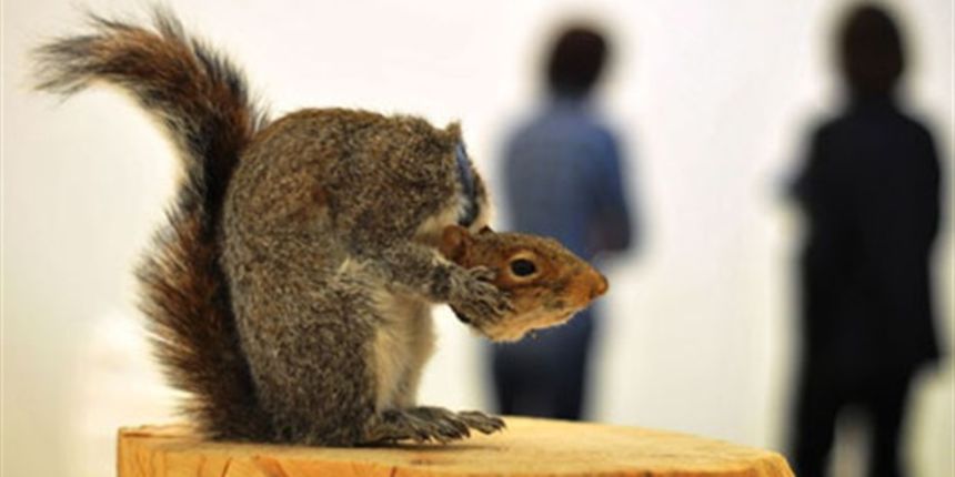 Vjeverica, Londonska slikarica Lynette Yiadom-Boakye, pridružila se francuskoj umjetnici Laure Prouvost, Britancu Davidu Shrigleyju i britansko-njemačkom performeru Tinu Sehgalu na ovogodišnjem popisu finalista