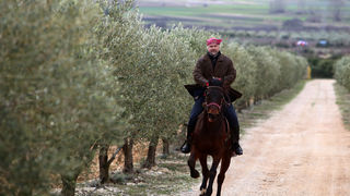 Mediji i uzvanici posjetili Polaču, Vransko jezero i Maškovića han. Rade Bobanović na konju