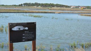 Nin – Povijesni gradic Nin pokraj Zadra za svoju prepoznatljivost ima nadaleko poznatu i najstariju hrvatsku solanu. Pod geslom “Prica o soli…” i dan danas se sol proizvodi na tradicionalan nacin. Photo: Damir Spehar/PIXSELL Nin – Povijesni gradic Nin pokraj Zadra za svoju prepoznatljivost ima nadaleko poznatu i najstariju hrvatsku solanu. Pod geslom “Prica o soli…” i dan danas se sol proizvodi na tradicionalan nacin. Photo: Damir Spehar/PIXSELL