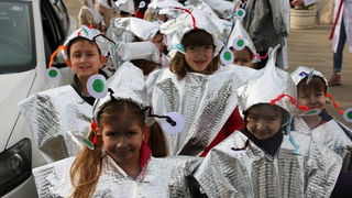 Virski karnevalić 2016. Virski karnevalić 2016.