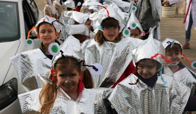 Virski karnevalić 2016.